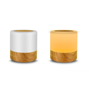 USB Charging Portable Remote Controlled Touch Lamp Night Light_2
