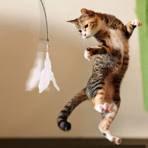 Long Suction Cup Pole Interactive Bell and Feather Wand Cat Teaser Toy_5